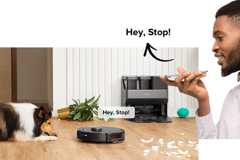 Über die Roborock Handyapp werden dem Hund Kommandos zugespielt